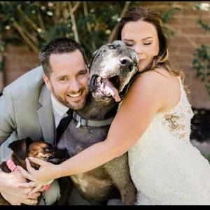 Meet your Posher, Kaitie